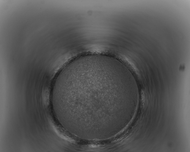X0000089970496200707061203