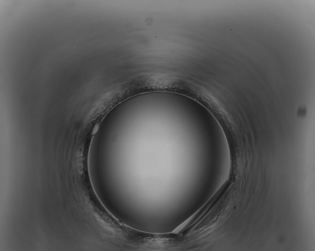 X0000089970497200707061203