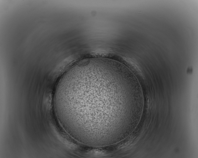 X0000089970498200707061203
