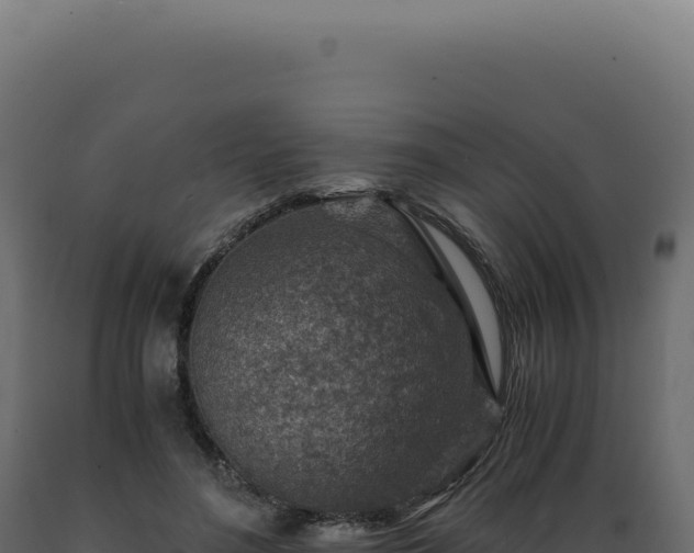 X0000089970500200707061203