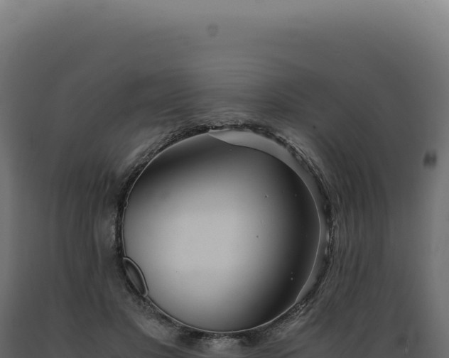 X0000089970501200707061203