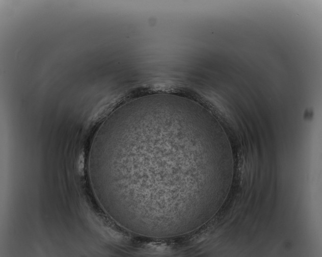 X0000089970502200707061203