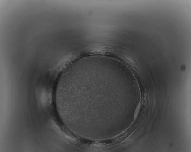 X0000089970504200707061203