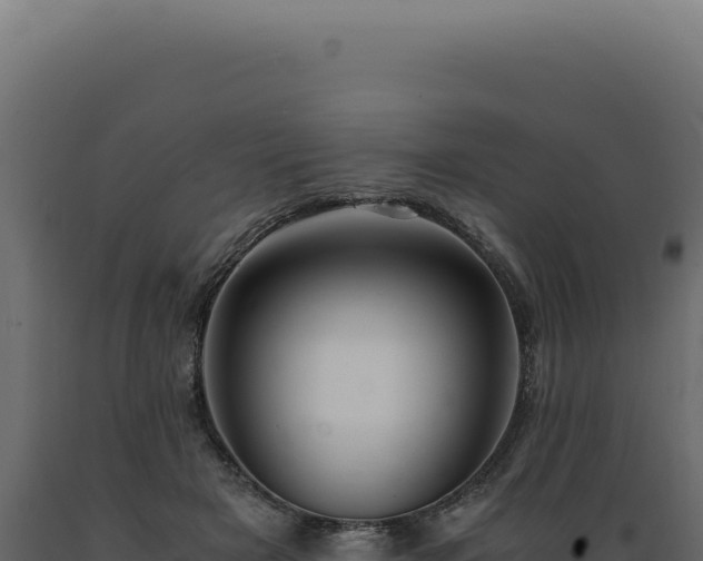 X0000089970505200707061203