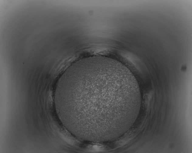 X0000089970506200707061203