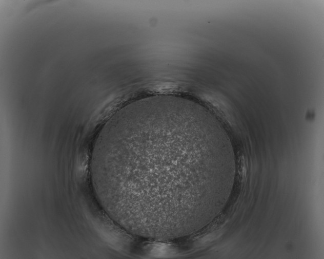 X0000089970507200707061203