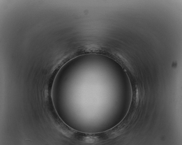 X0000089970508200707061203