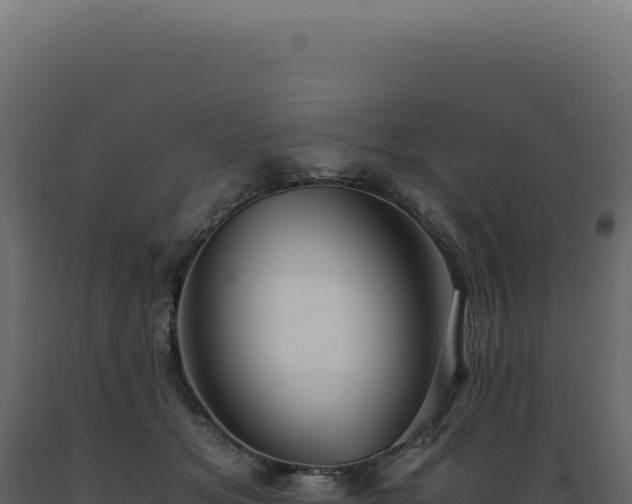 X0000089970509200707061203