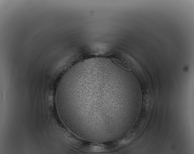 X0000089970510200707061203