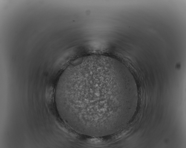 X0000089970511200707061203