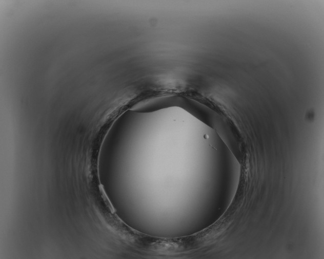 X0000089970512200707061203