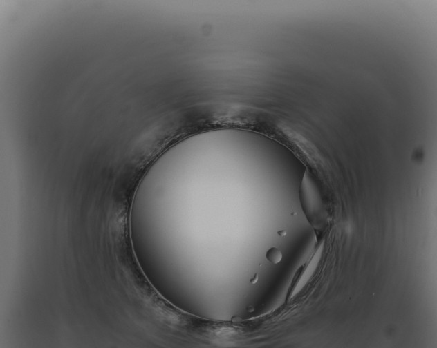 X0000089970513200707061203