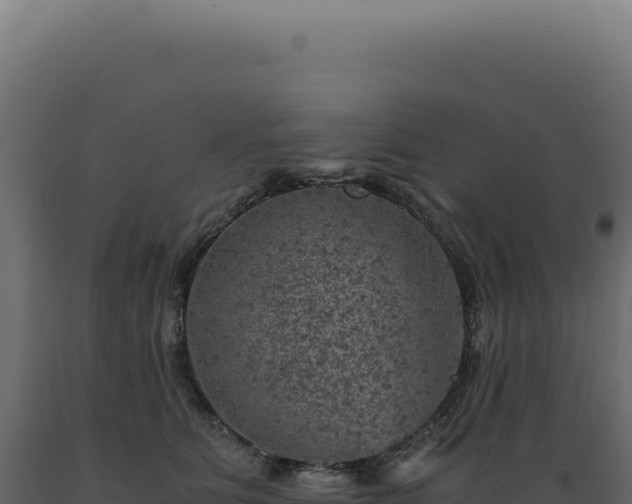 X0000089970515200707061203