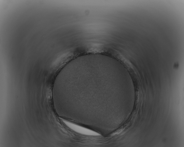 X0000089970517200707061203
