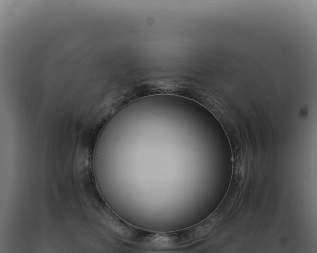X0000089970518200707061203