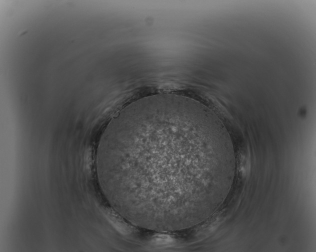 X0000089970519200707061203