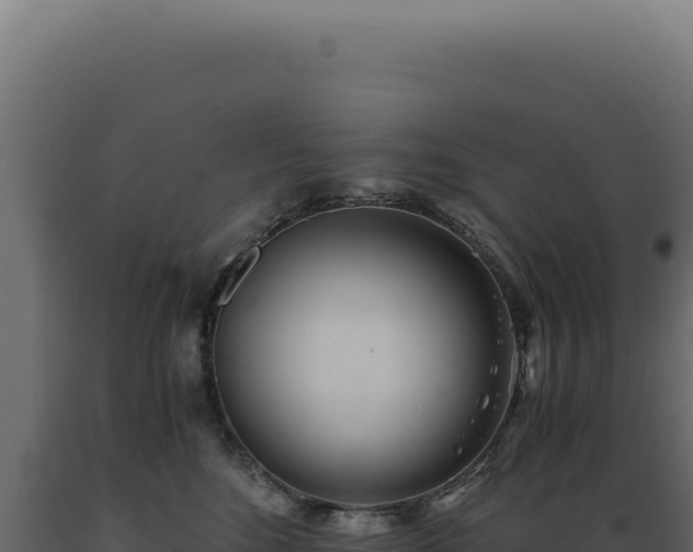 X0000089970520200707061203