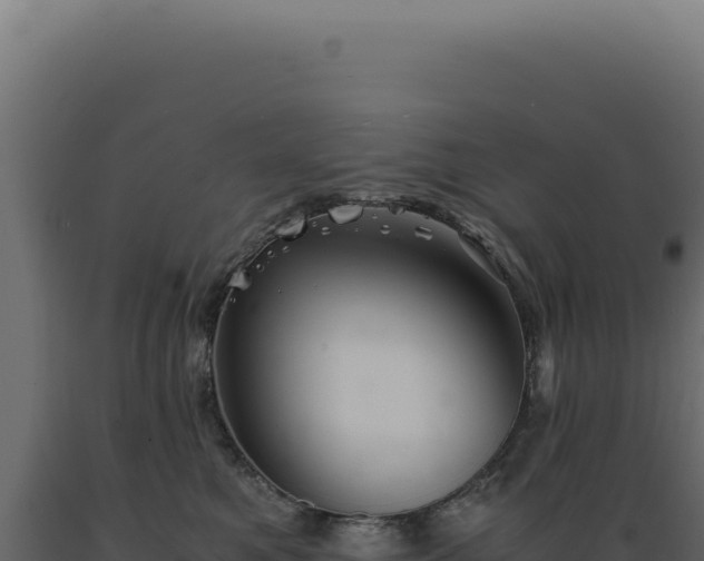 X0000089970521200707061203
