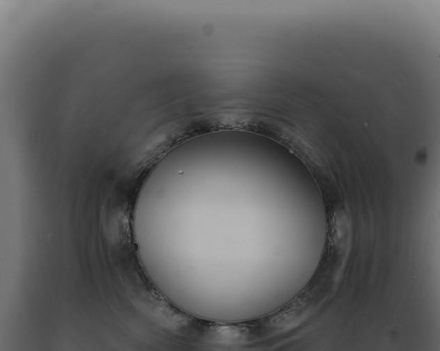 X0000089970522200707061203