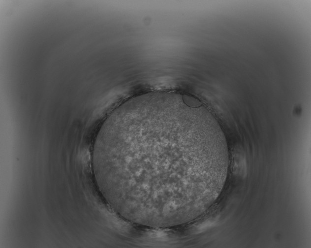 X0000089970523200707061203