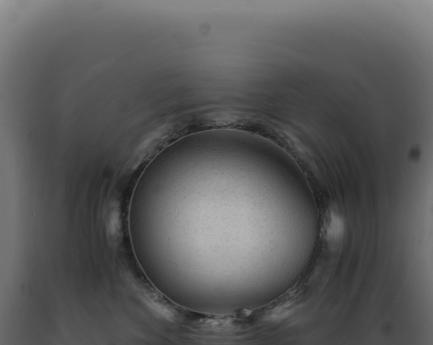 X0000089970524200707061203