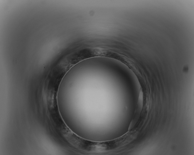 X0000089970525200707061203