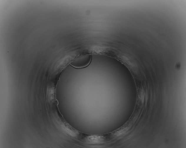X0000089970526200707061203