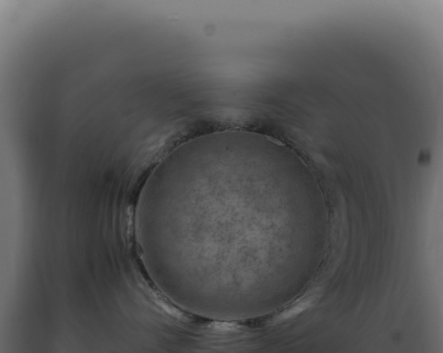 X0000089970528200707061203