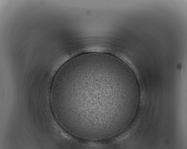 X0000089970529200707061202