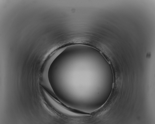 X0000089970530200707061202