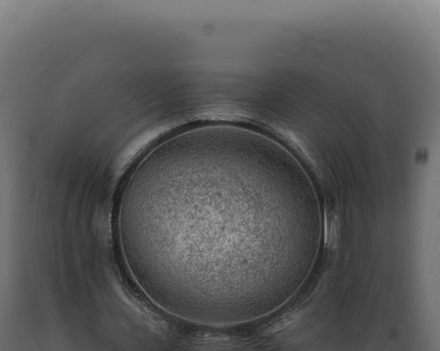 X0000089970531200707061202