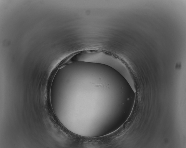 X0000089970532200707061202