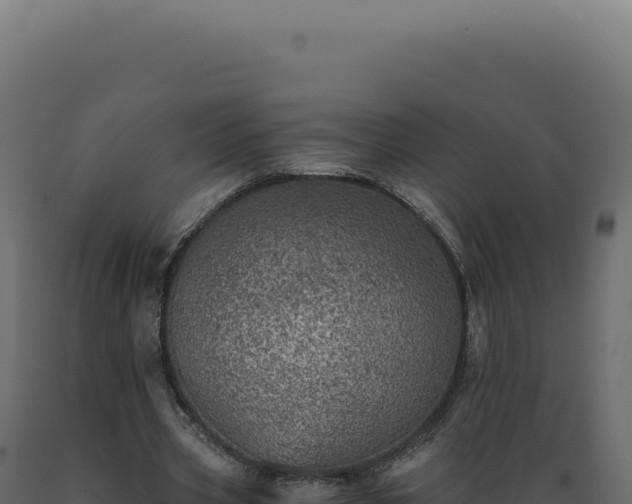 X0000089970533200707061202