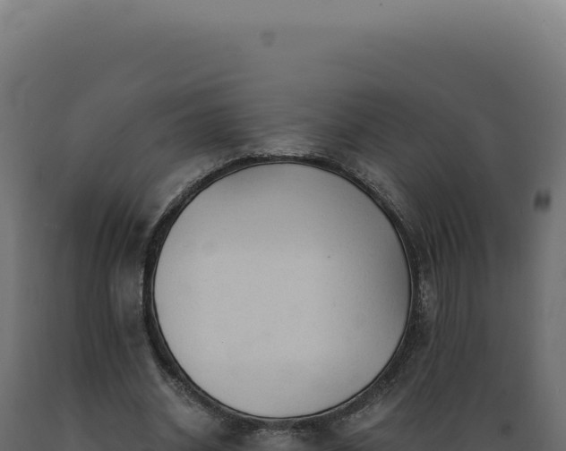 X0000089970534200707061202