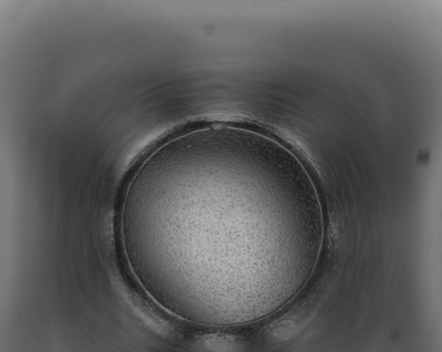 X0000089970535200707061202