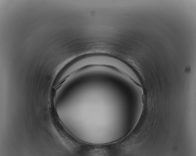 X0000089970536200707061202