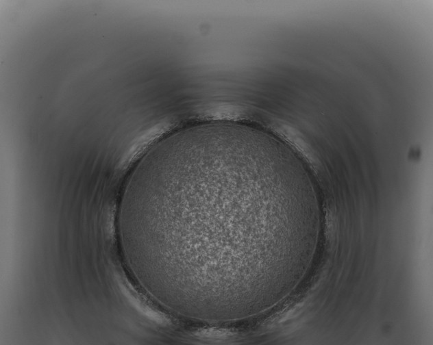 X0000089970537200707061202
