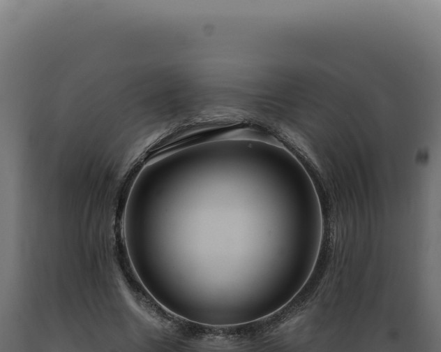 X0000089970538200707061202
