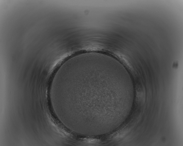 X0000089970539200707061202