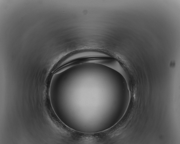 X0000089970540200707061202