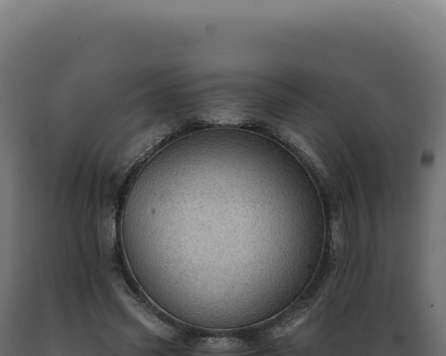 X0000089970541200707061202