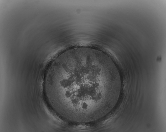X0000089970542200707061202