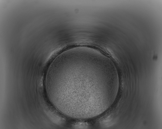 X0000089970543200707061202