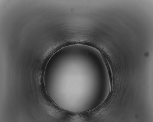 X0000089970544200707061202