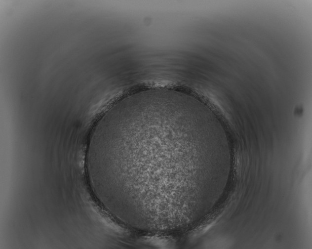 X0000089970545200707061203