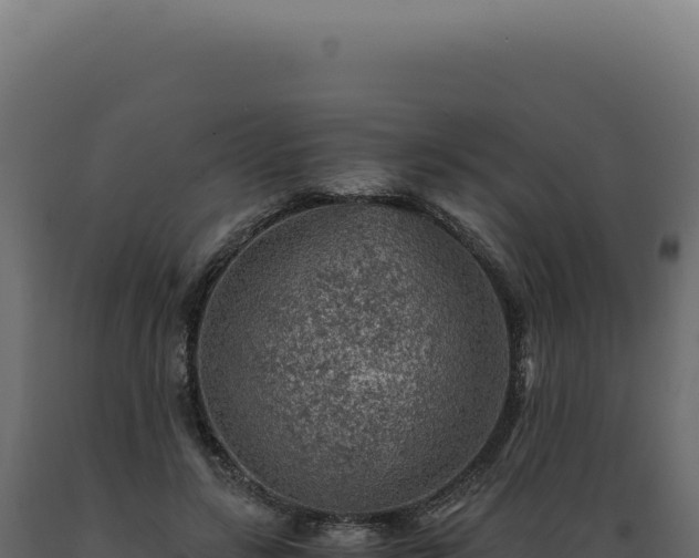 X0000089970547200707061203