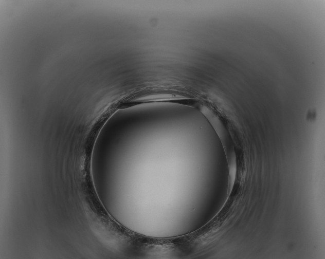X0000089970548200707061203