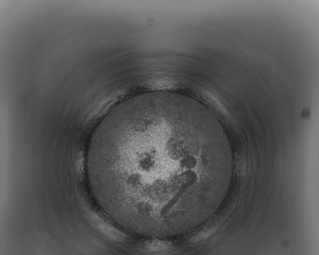 X0000089970549200707061203