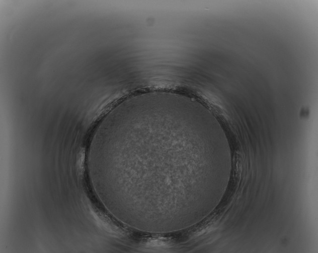 X0000089970550200707061203