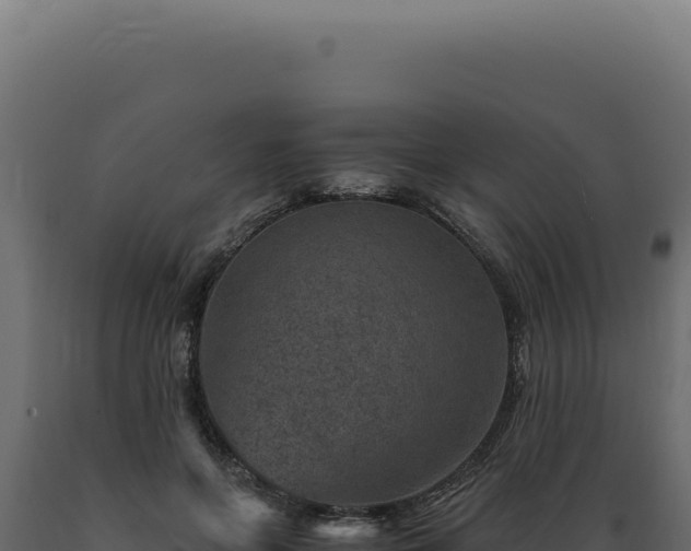 X0000089970551200707061203